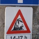 Dopravn&iacute; značka na ostrově HVAR - 2009